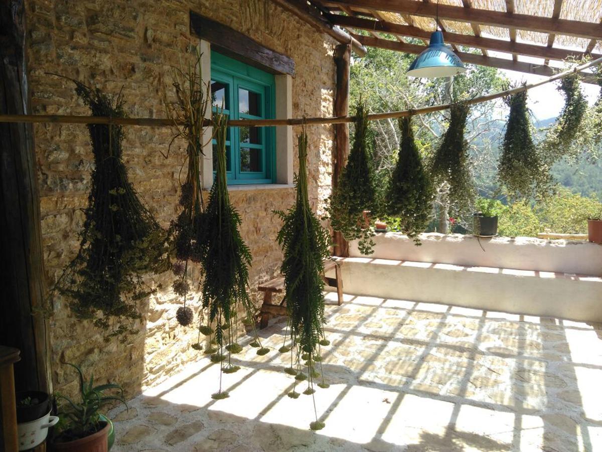 Masseria Cata Catascia Bed and Breakfast Tortorella Exterior foto